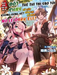 Truyện tranh Ie Ga Moete Jinsei Dou Demo Yoku Natta Kara, Nokotta Nakenashi No Kin De Dark Elf No Dorei O Katta - TruyenQQ