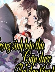 Truyện tranh Trọng Sinh Báo Thù Gặp Được Bá Đạo Tổng Tài - TruyenQQ