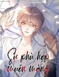 Truyện tranh Sự Phù Hợp Muộn Màng - TruyenQQ